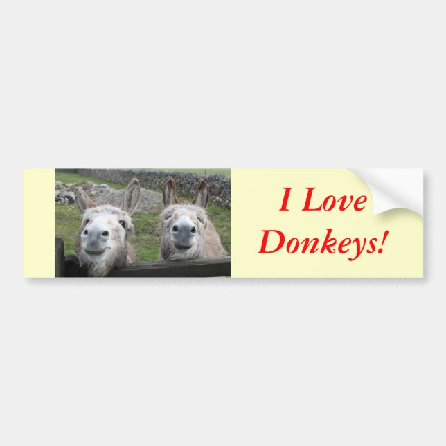 Smiling Donkeys! Bumper Sticker (Front)