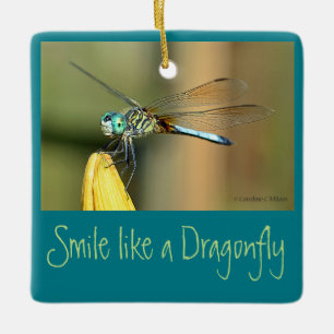 Smiling Dragonfly Ceramic Ornament