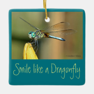 Smiling Dragonfly Ceramic Ornament