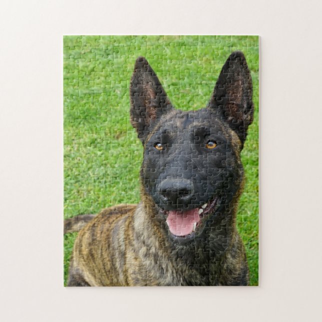 Smiling Dutch Shepherd Portrait Jigsaw Puzzle (Vertical)