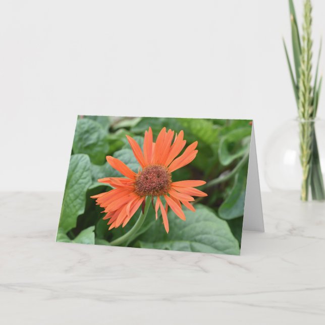 Smiling Flower Notecards (Blank Inside) (Front)