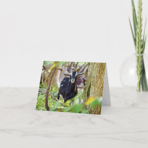 Smiling Goat Card