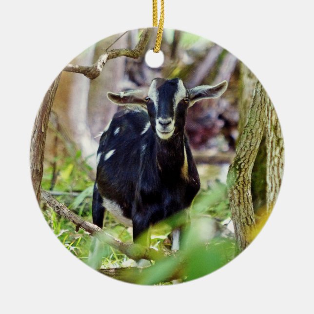 Smiling Goat Ceramic Ornament (Front)