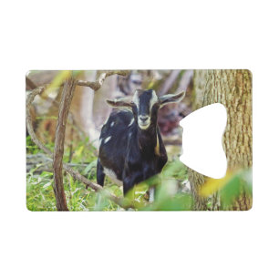 Smiling Goat Credit Card Bottle Opener