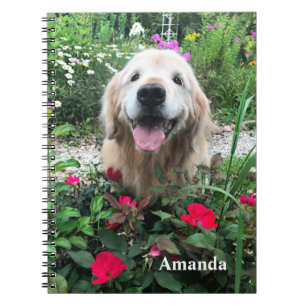 Smiling Golden Retriever Dog Among Red Flowers Notebook