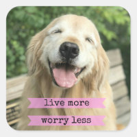 Smiling Golden Retriever Dog Live More Worry Less