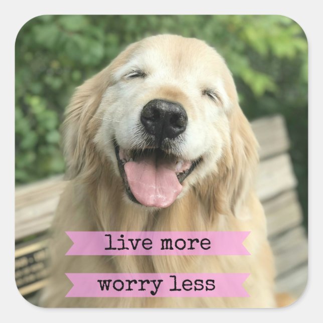 Smiling Golden Retriever Dog Live More Worry Less Square Sticker (Front)
