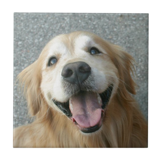 Smiling Golden Retriever Tile (Front)