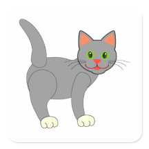Smiling Grey Cat With Whiskers