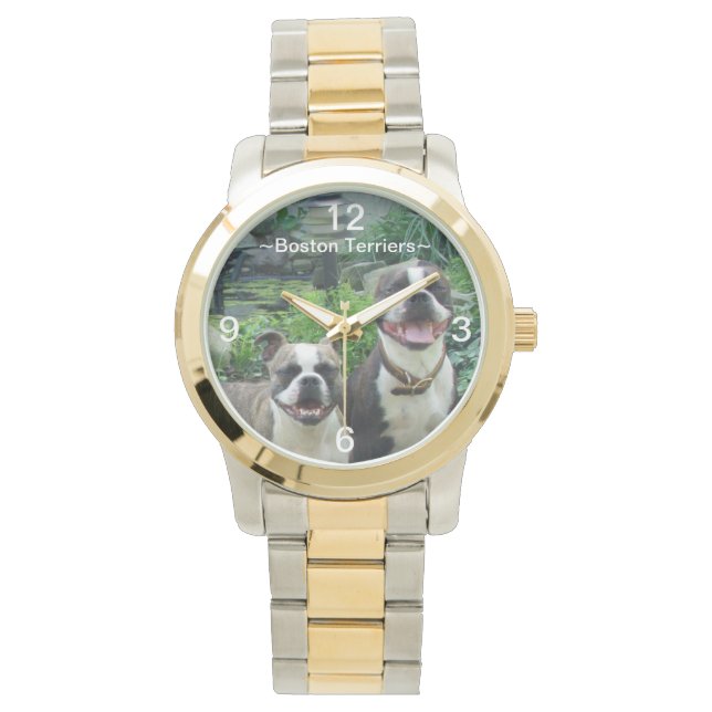 Smiling happy Boston Terriers Watch (Front)