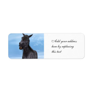 Smiling Horse