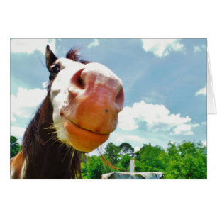 Smiling Horse