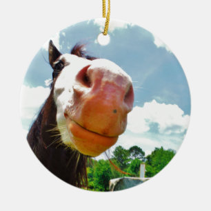 Smiling Horse Ceramic Ornament