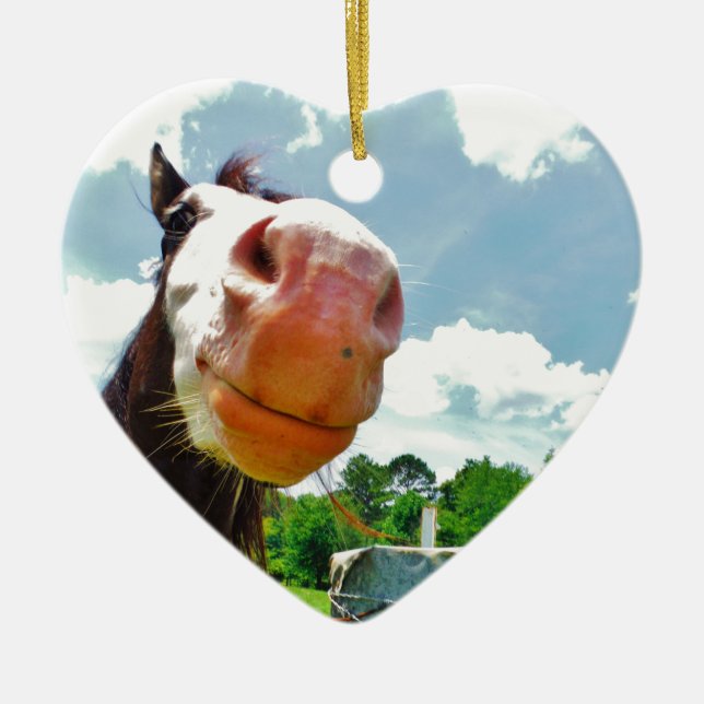 Smiling Horse Ceramic Ornament (Front)