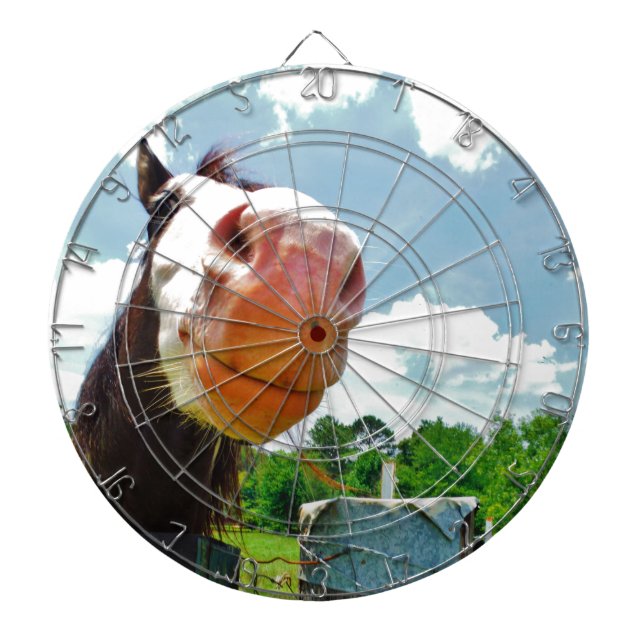 Smiling Horse Dartboard (Front)
