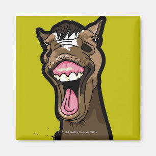 Smiling Horse Magnet
