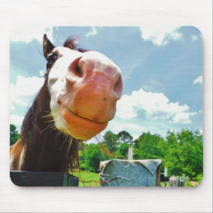 Smiling Horse Mouse Pad