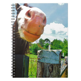 Smiling Horse Notebook