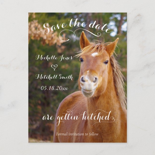Smiling Horse Save the Date Postcards (Front)