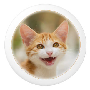 Smiling kitten funny cat meow ceramic knob