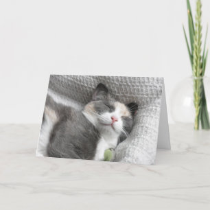 Smiling Kitty Thank You Card