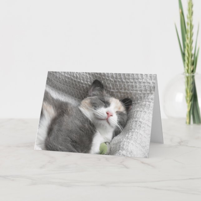 Smiling Kitty Thank You Card (Front)