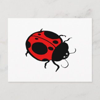 Smiling Ladybug  - Postcard