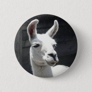 Smiling Llama Button
