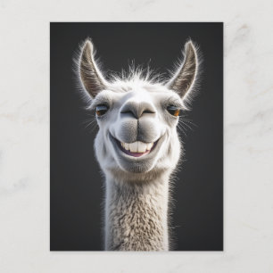 Smiling Llama Close-Up Postcard