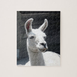 Smiling Llama Puzzle