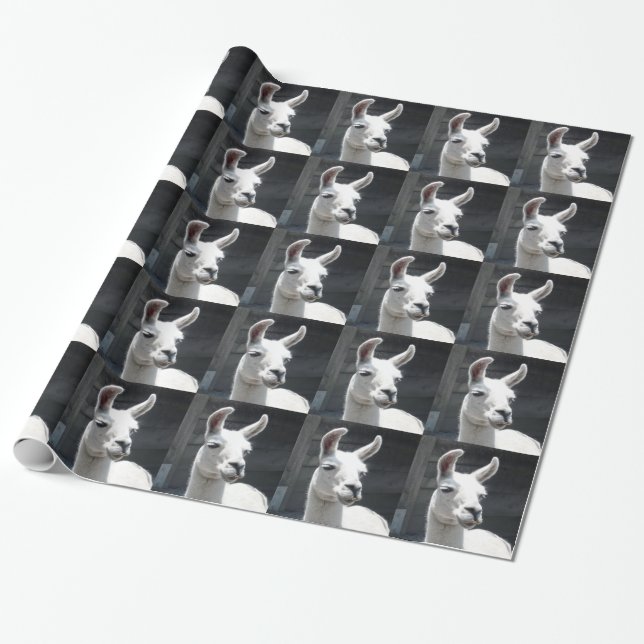 Smiling Llama Wrapping Paper (Unrolled)