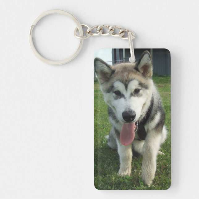 Smiling Malamute Keychain (Front)