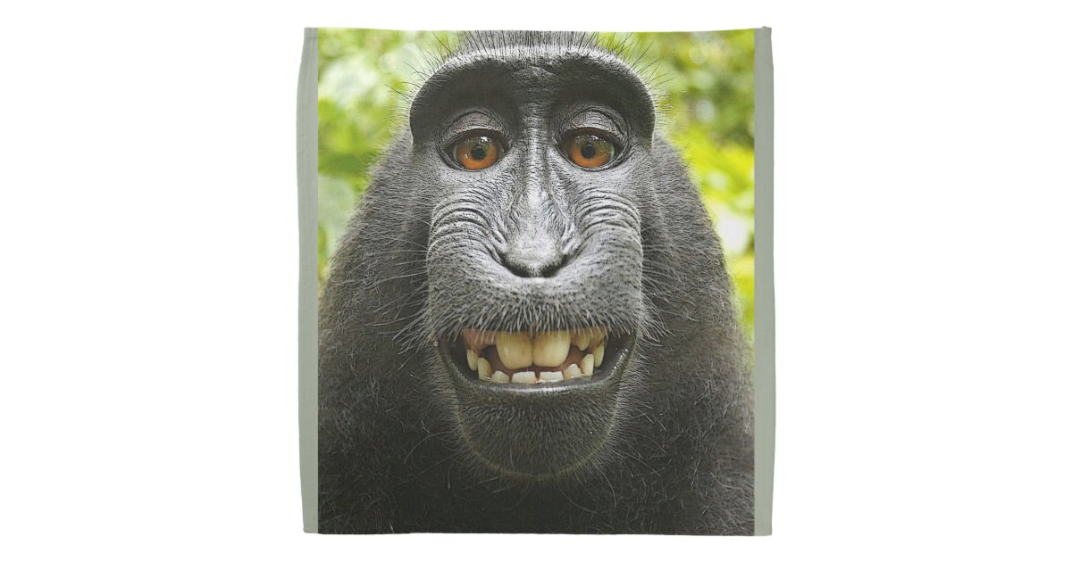 Smiling Monkey Bandana | Zazzle.ca