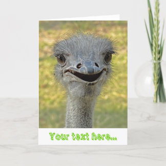 Smiling Ostrich Greeting Card