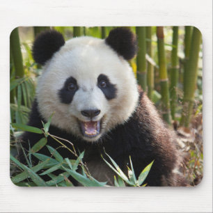 Smiling Panda Portrait Mouse Pad