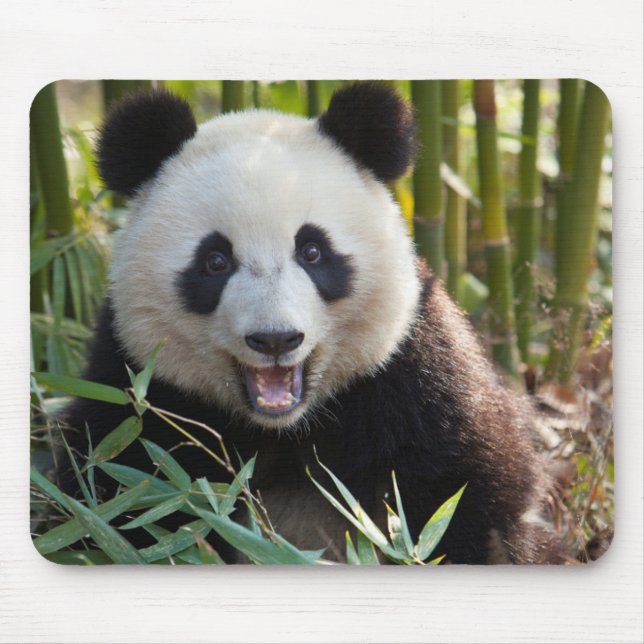 Smiling Panda Portrait Mouse Pad (Front)