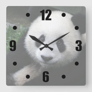 Smiling Panda Square Wall Clock