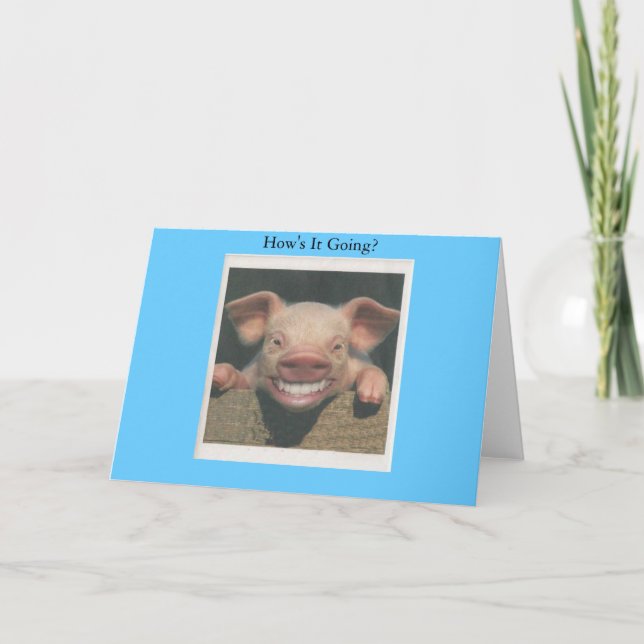 smiling pig how's it going card (Front)