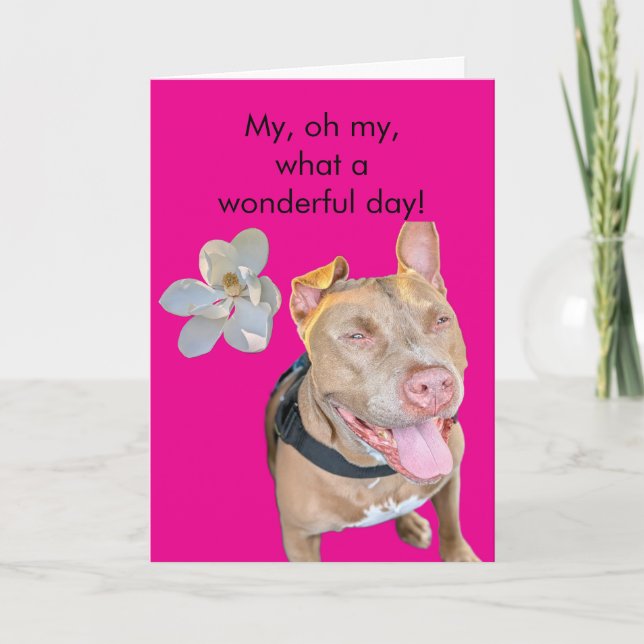 Smiling Pit Bull Birthday Card (Front)