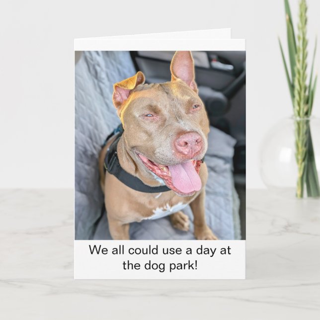 Smiling Pit Bull Take it Easy Card (Front)