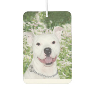 Smiling pitbull air freshener