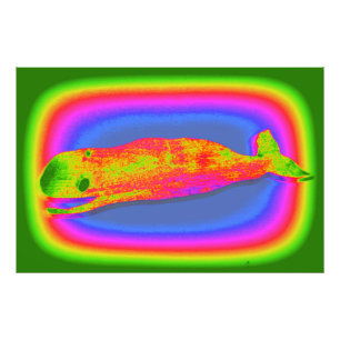 smiling psychedelic whale photo print