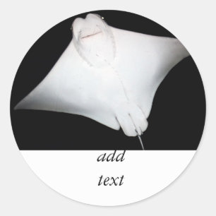 Smiling Ray Classic Round Sticker