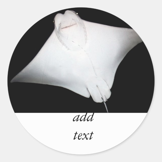 Smiling Ray Classic Round Sticker (Front)