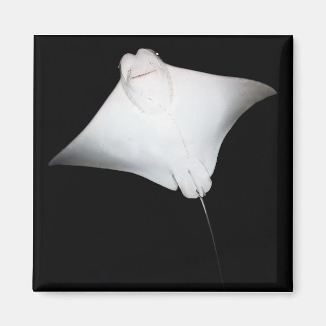 Smiling Ray Magnet (Front)