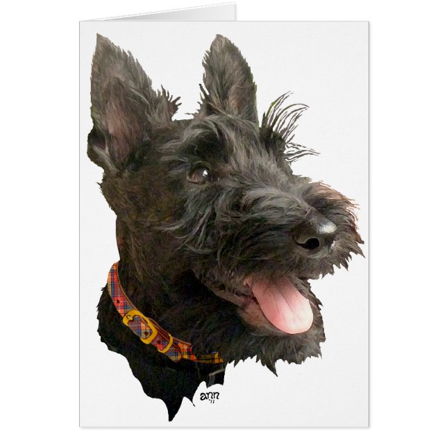 Smiling Scottish Terrier (Front)