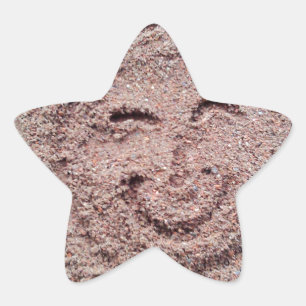 Smiling Sun, Sand Emoticon, Summer Emoji Star Sticker