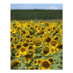 Smiling Sunflower - 11x14 Photo Print