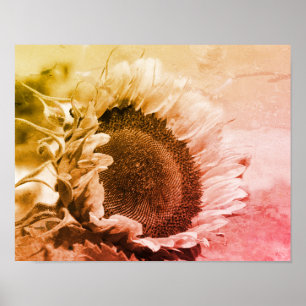 Smiling Sunflower Black And White Distressed  Poster