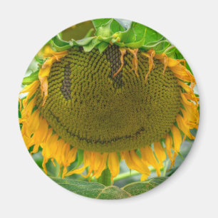 Smiling Sunflower Magnet